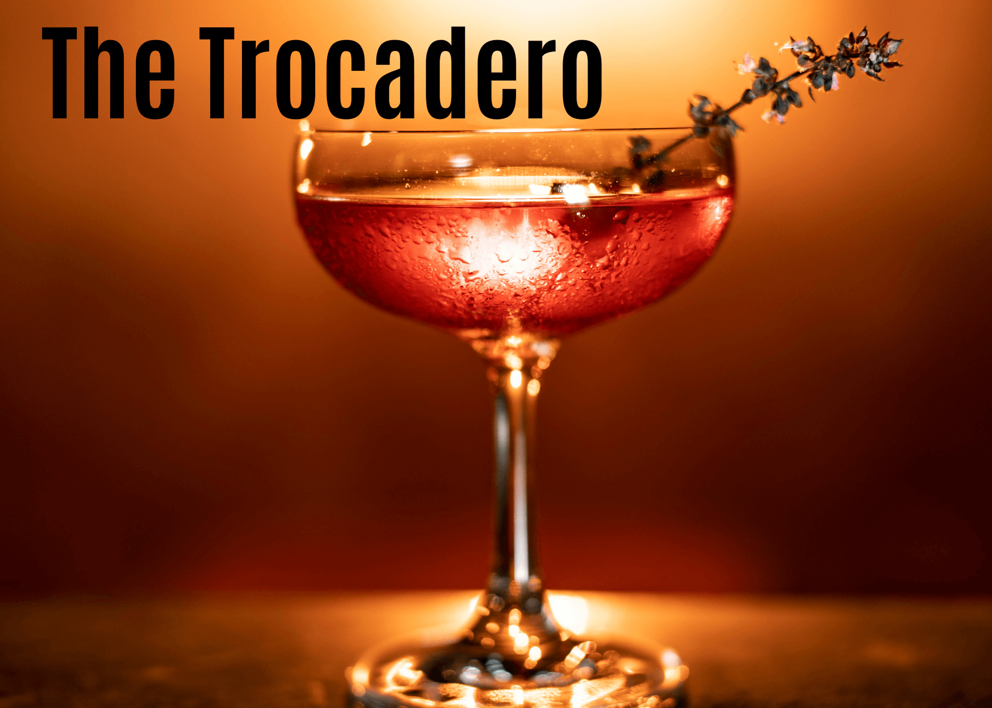 Read more about the article The Trocadero