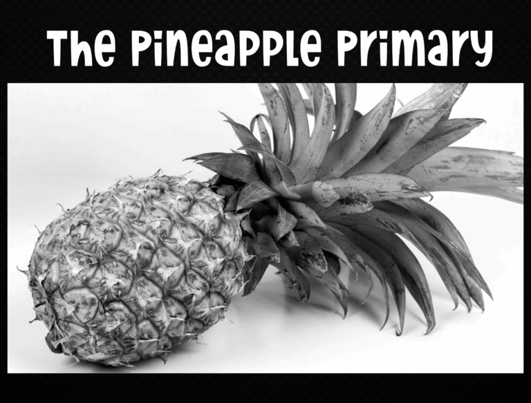 The Pineapple Primary