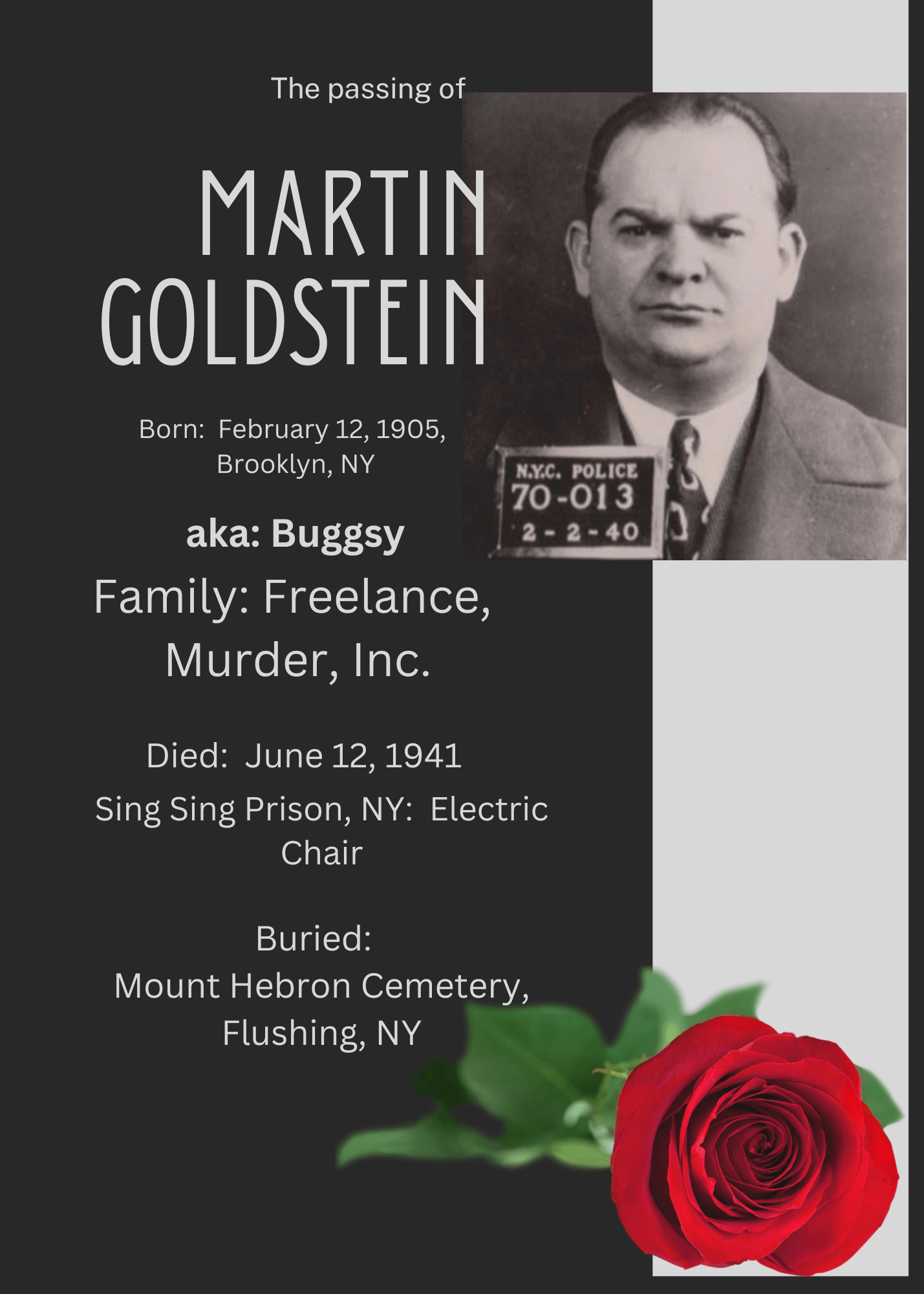 Martin Buggsy Goldstein